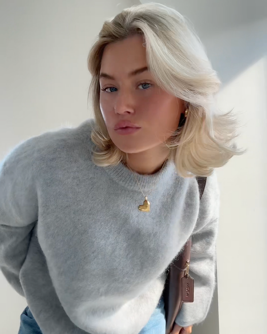 Chloe | Mohair Blend Pullover with Crew Neck