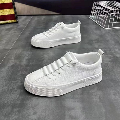 Alexander | Men's Faux Leather Low Sneakers