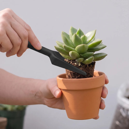 Homey | Indoor Gardening Tool Set with Plant Care Accessories