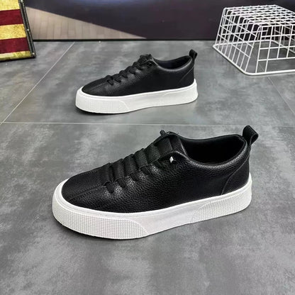 Alexander | Men's Faux Leather Low Sneakers